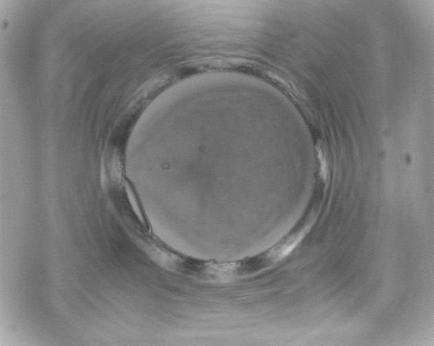 X0000070410143200607072318