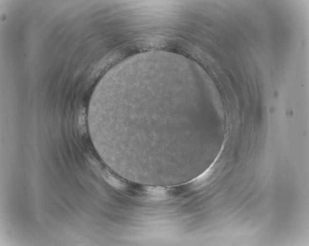 X0000070410144200607072318