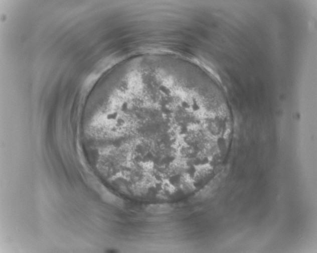 X0000070410145200607072318