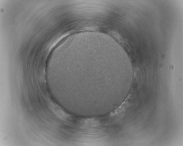 X0000070410146200607072318