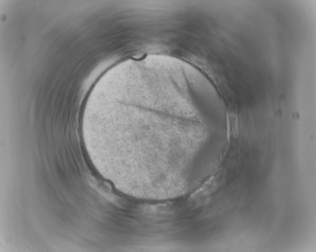 X0000070410147200607072318