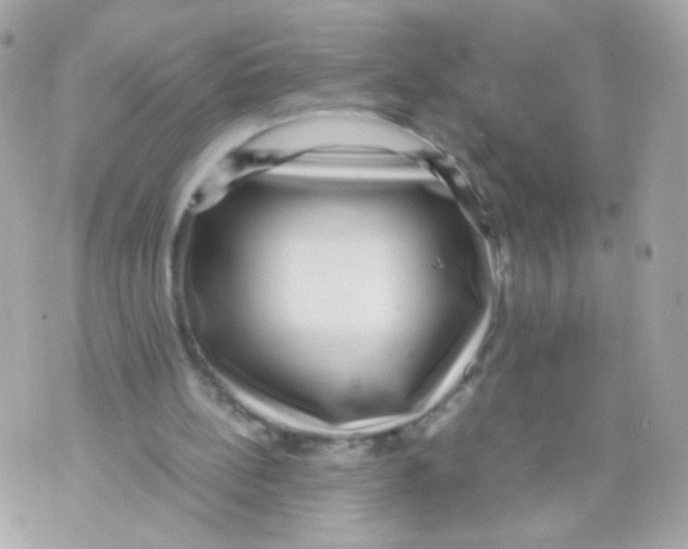 X0000070410148200607072318