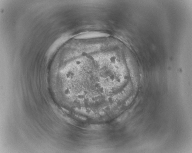 X0000070410149200607072318