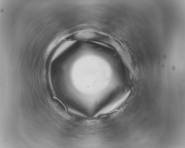 X0000070410150200607072318