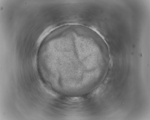 X0000070410151200607072318