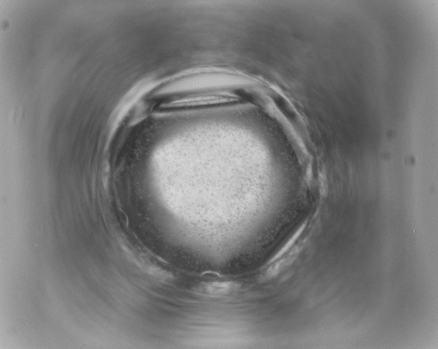 X0000070410152200607072318