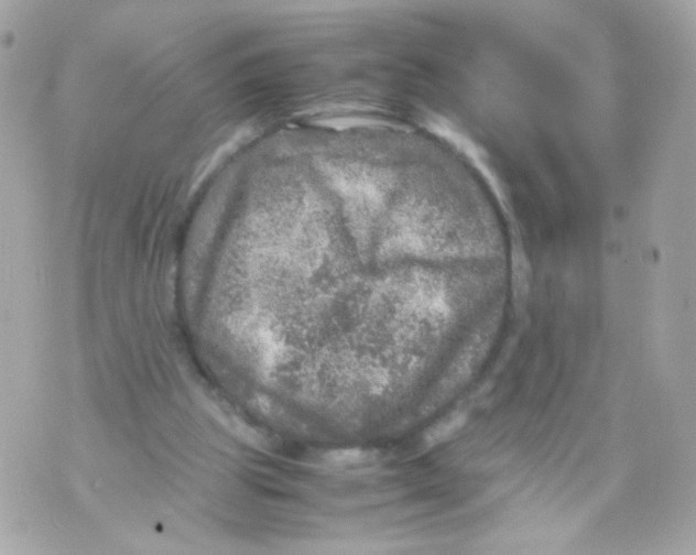 X0000070410153200607072318