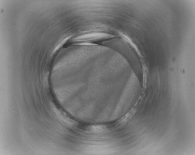 X0000070410154200607072318