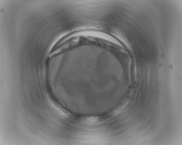 X0000070410156200607072318