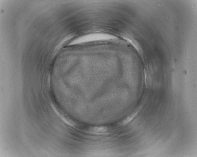 X0000070410157200607072318