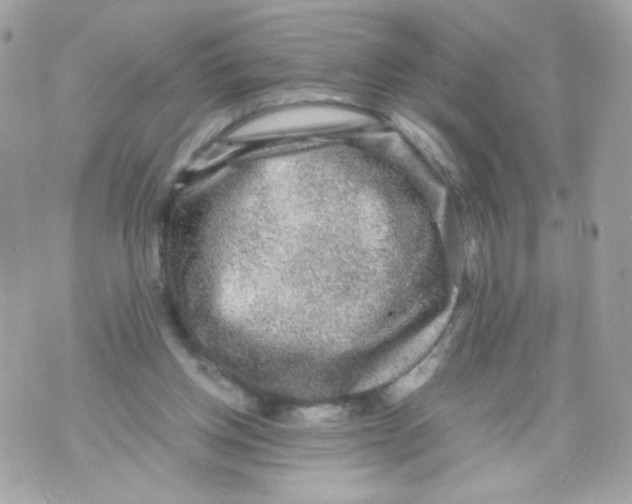 X0000070410158200607072318