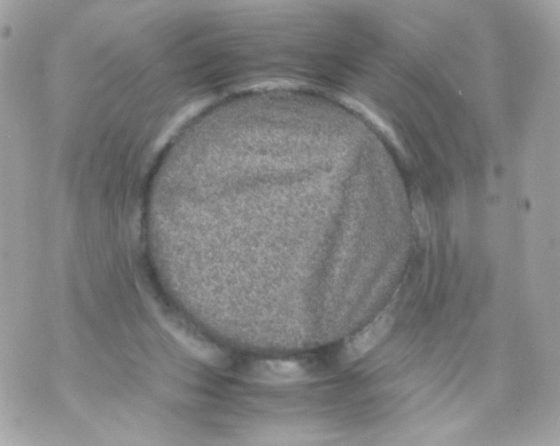 X0000070410159200607072318