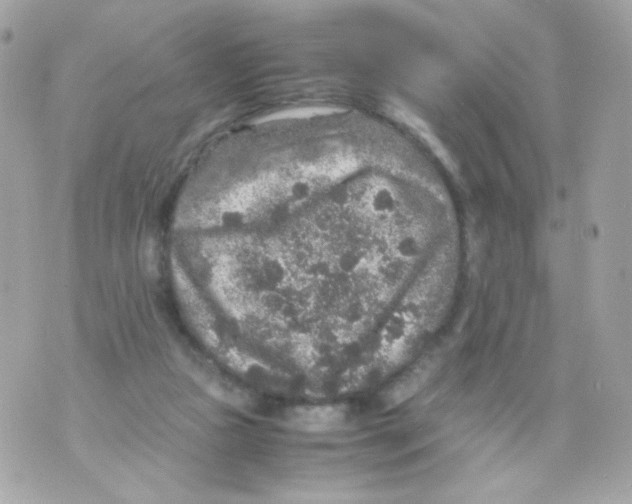 X0000070410161200607072318