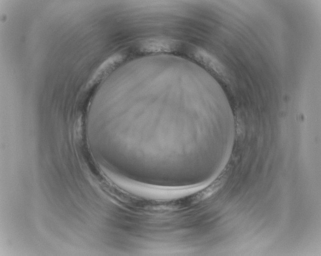 X0000070410163200607072318