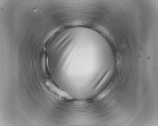 X0000070410164200607072318