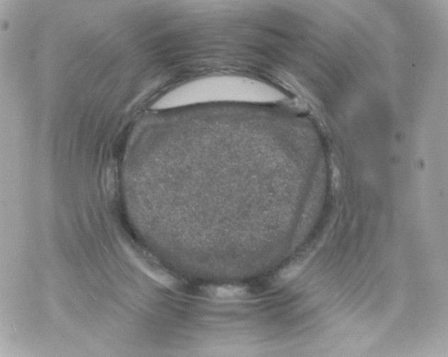 X0000070410165200607072318