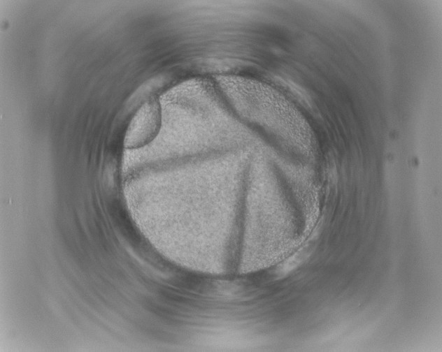 X0000070410166200607072318