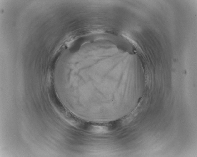 X0000070410167200607072318