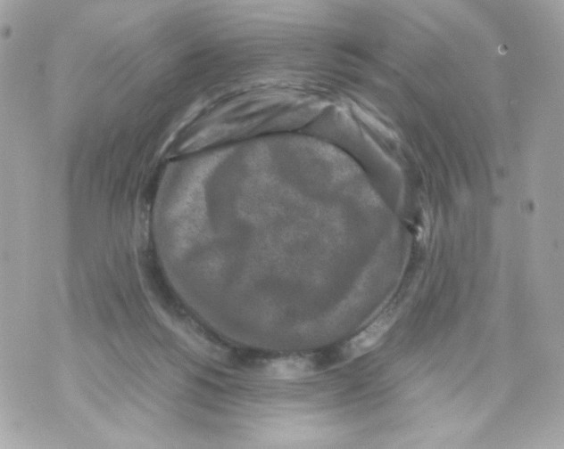 X0000070410168200607072318