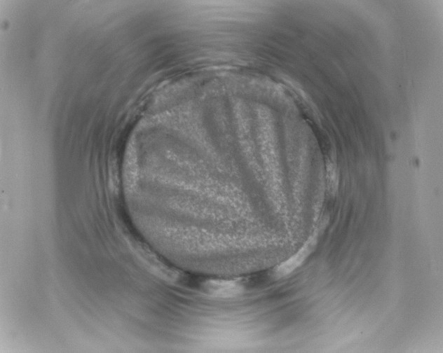 X0000070410170200607072318