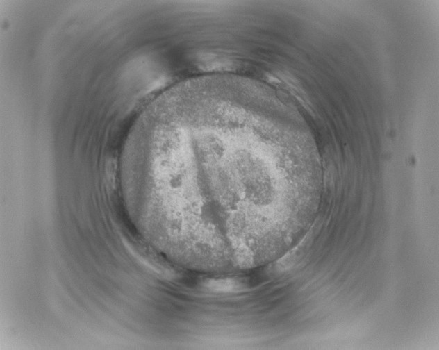 X0000070410171200607072318