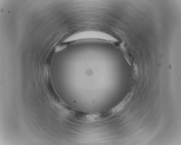 X0000070410172200607072318