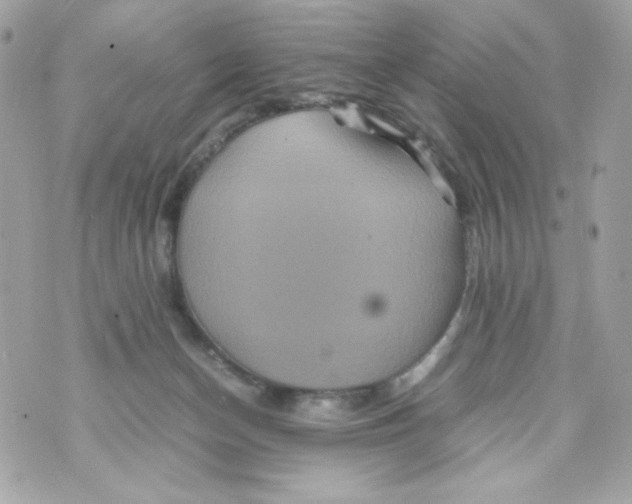 X0000070410174200607072318