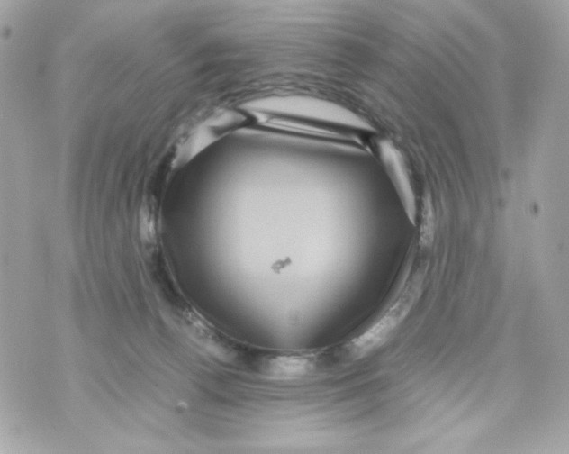 X0000070410176200607072318