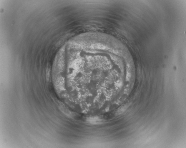 X0000070410177200607072318