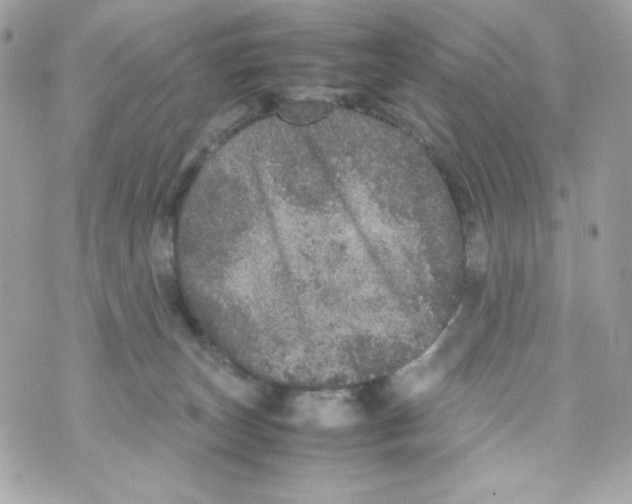 X0000070410179200607072318