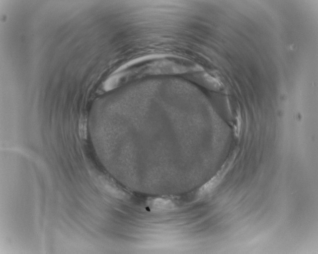 X0000070410180200607072318