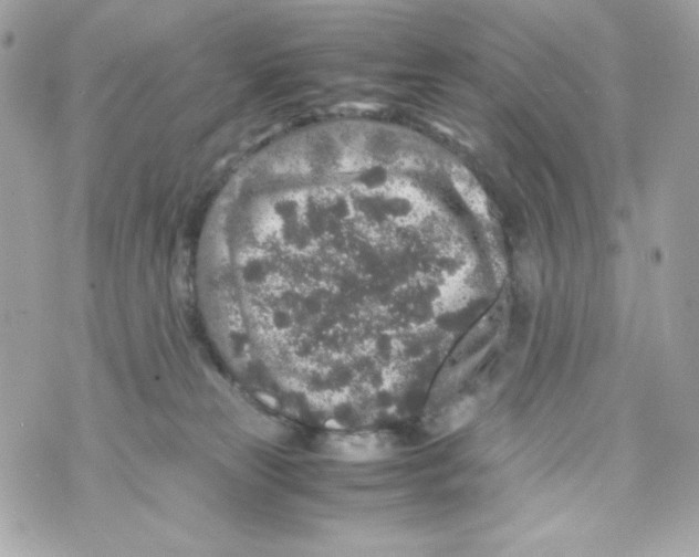 X0000070410181200607072318