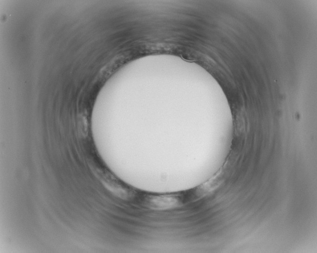 X0000070410183200607072318