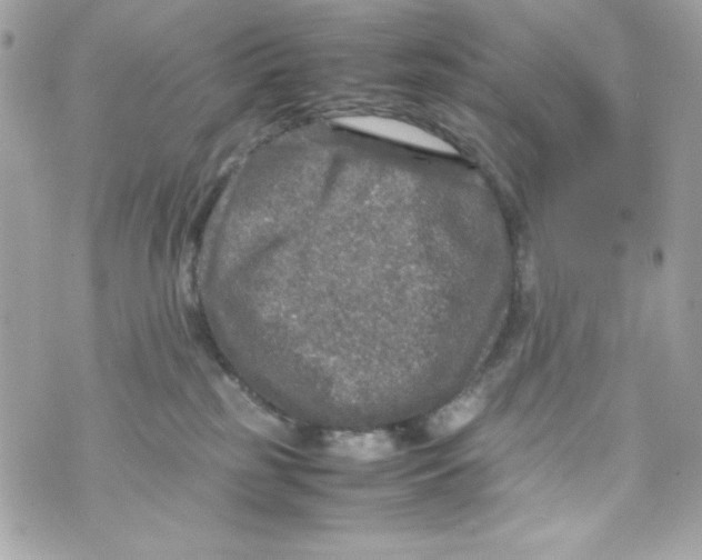 X0000070410185200607072318