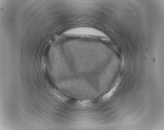 X0000070410186200607072318