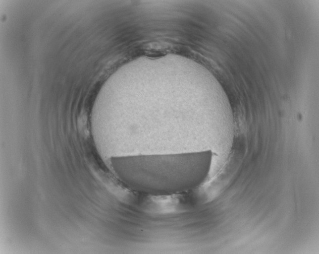 X0000070410187200607072318