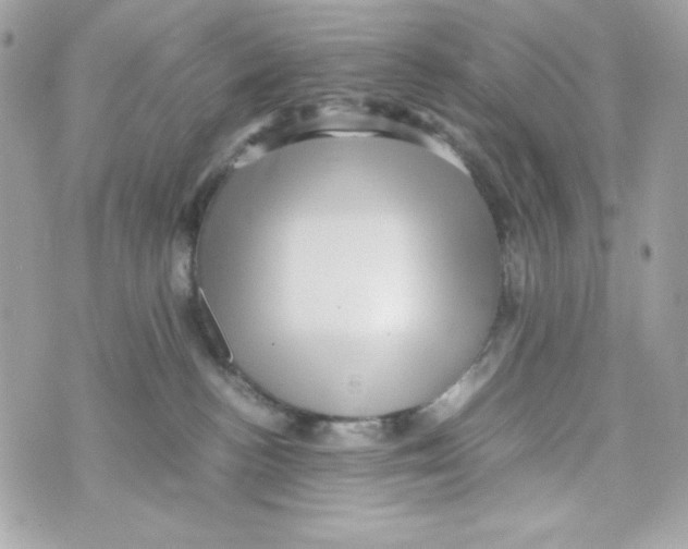 X0000070410188200607072318