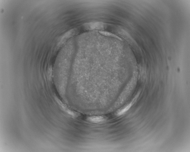 X0000070410189200607072318