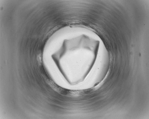 X0000070410190200607072318