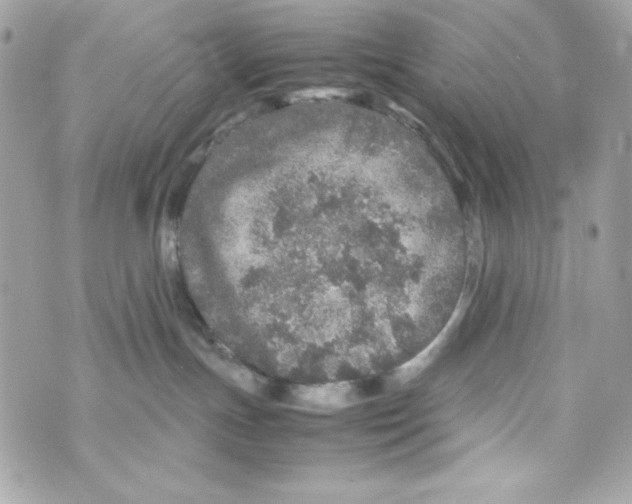 X0000070410191200607072318