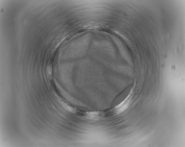 X0000070410192200607072318