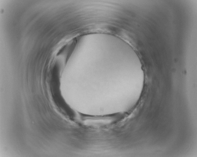 X0000070410193200607072318