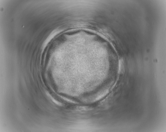 X0000070410195200607072318