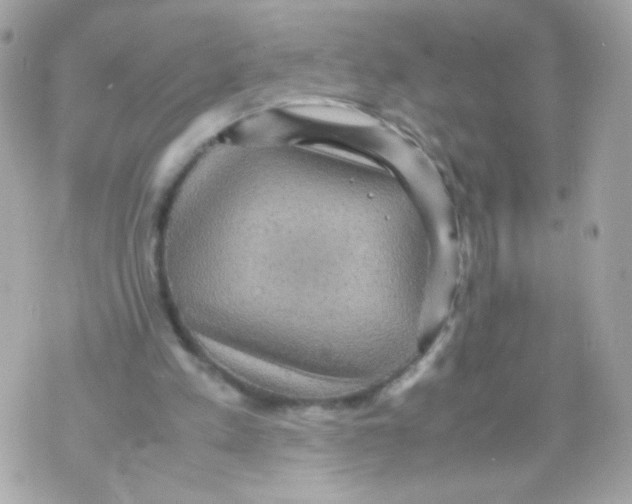 X0000070410197200607072318