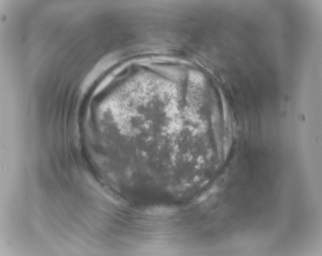 X0000070410198200607072318