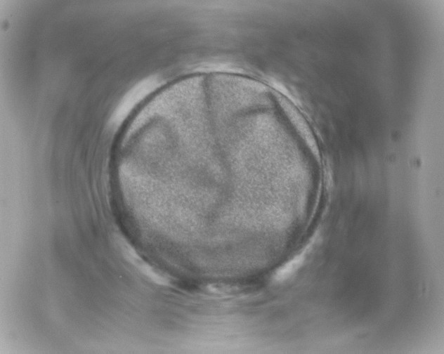 X0000070410199200607072318