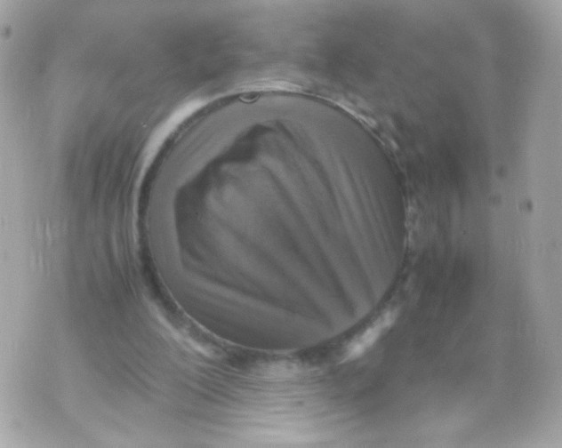 X0000070410200200607072318