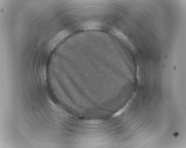 X0000070410202200607072318