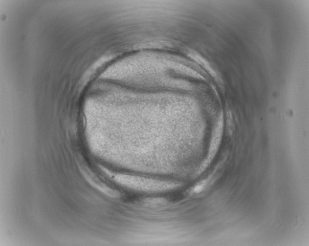 X0000070410203200607072317