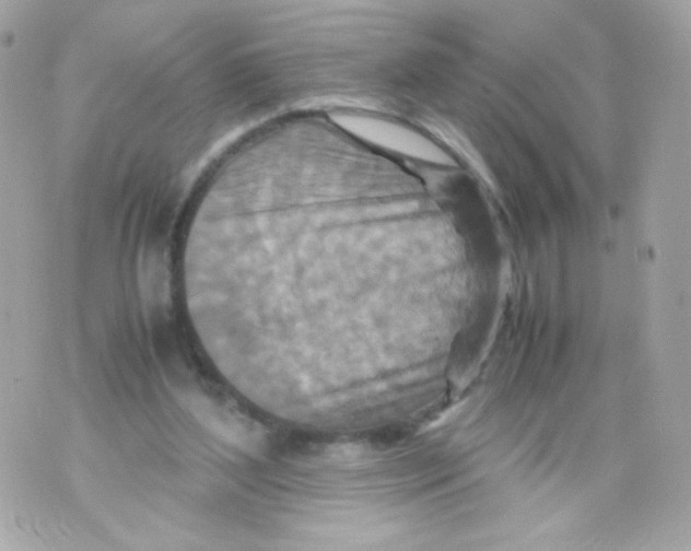 X0000070410204200607072317